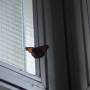 dsc01430.jpg